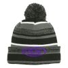 Sideline Beanie Thumbnail